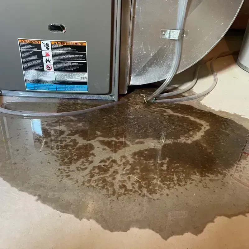 Appliance Leak Cleanup in Spencer, WV